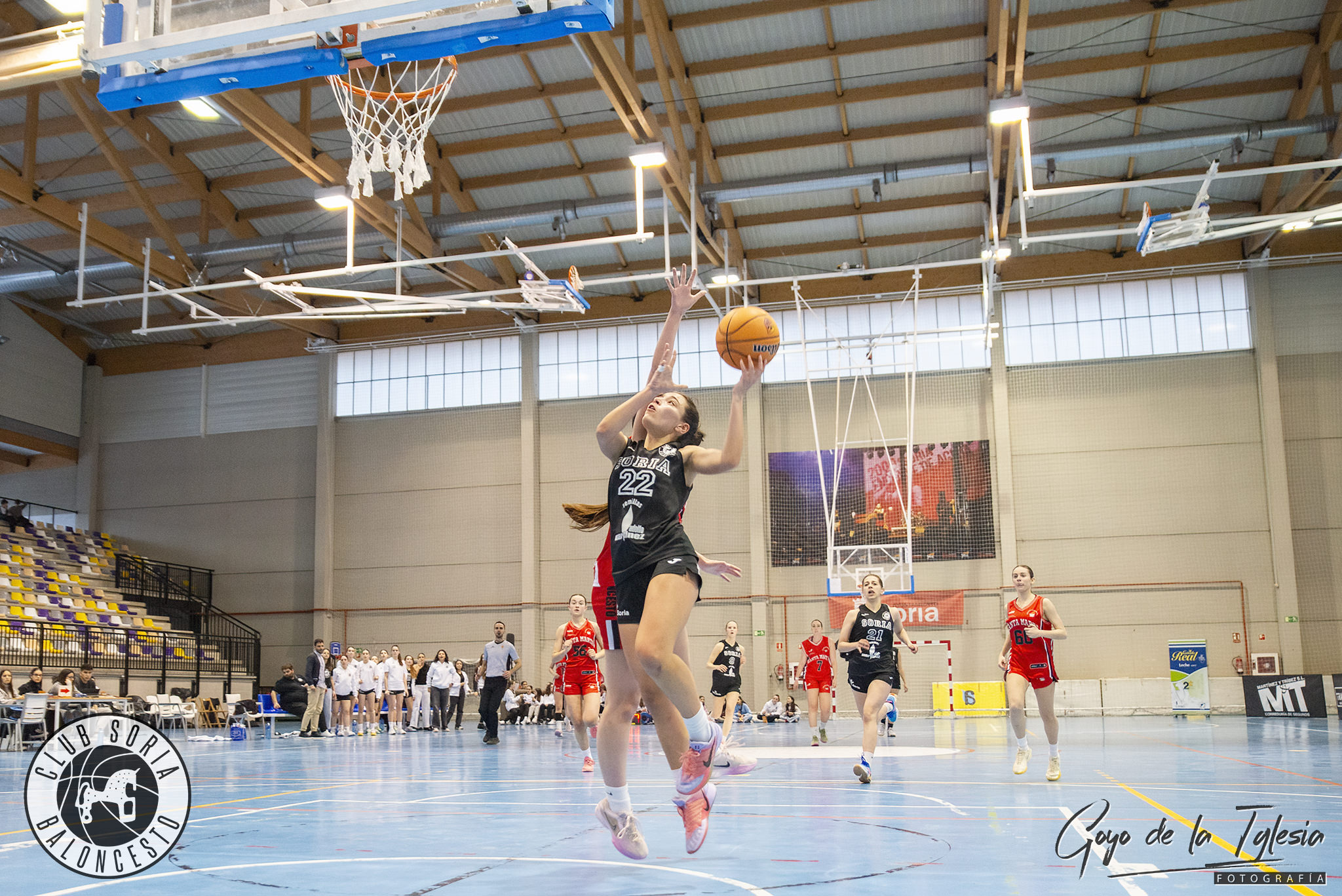 20260310 CSB SEMILLAS ADOLFO MARTÍNEZ Foto de Prensa