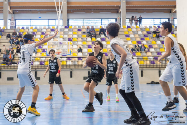 La cantera del CSB afronta su undécima temporada con 14 equipos inscritos y récord de preinscripciones